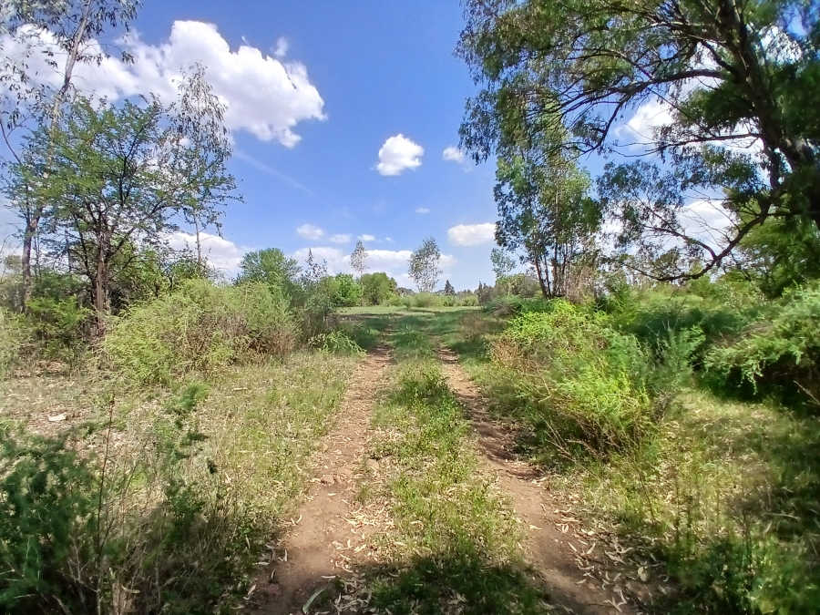 0 Bedroom Property for Sale in Riversdale Gauteng