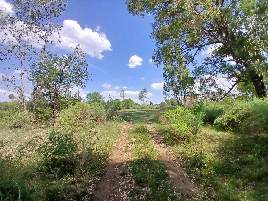 0 Bedroom Property for Sale in Riversdale Gauteng