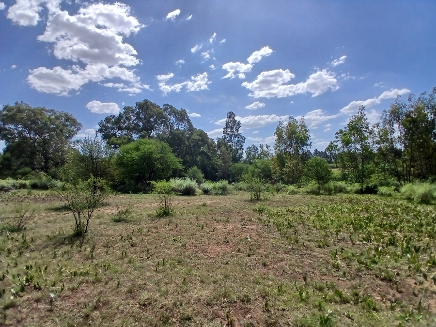 0 Bedroom Property for Sale in Riversdale Gauteng