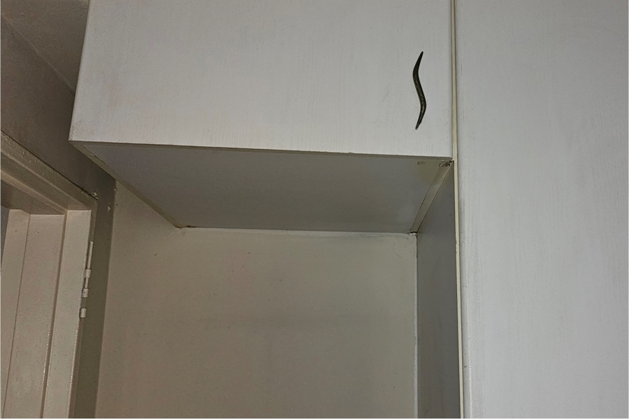 1 Bedroom Property for Sale in Paarlshoop Gauteng