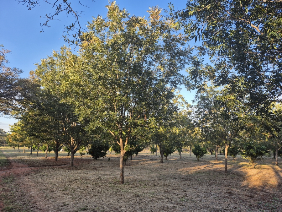 8 Bedroom Property for Sale in Cullinan Rural Gauteng