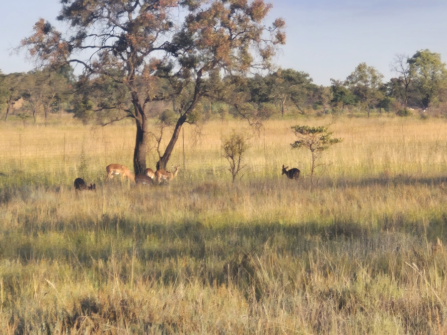 8 Bedroom Property for Sale in Cullinan Rural Gauteng