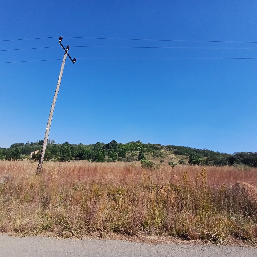 0 Bedroom Property for Sale in Blue Saddle Ranches Gauteng