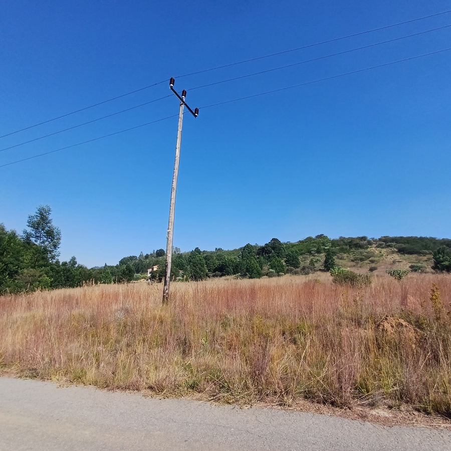 0 Bedroom Property for Sale in Blue Saddle Ranches Gauteng