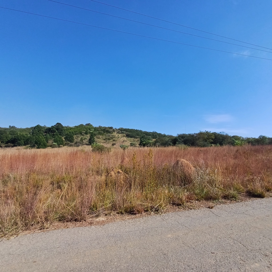 0 Bedroom Property for Sale in Blue Saddle Ranches Gauteng