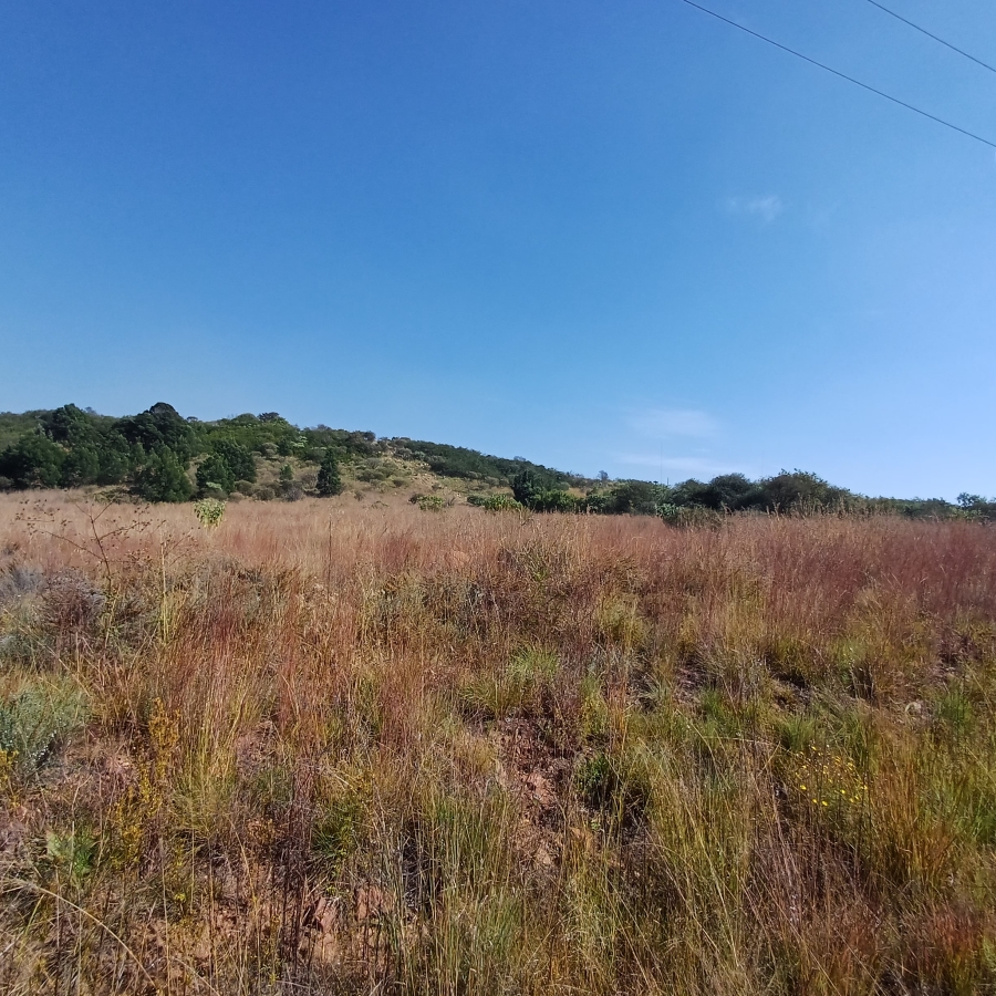 0 Bedroom Property for Sale in Blue Saddle Ranches Gauteng