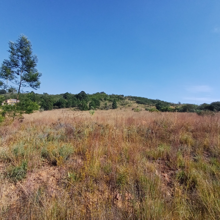 0 Bedroom Property for Sale in Blue Saddle Ranches Gauteng