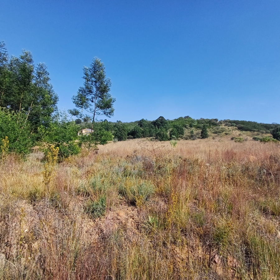 0 Bedroom Property for Sale in Blue Saddle Ranches Gauteng