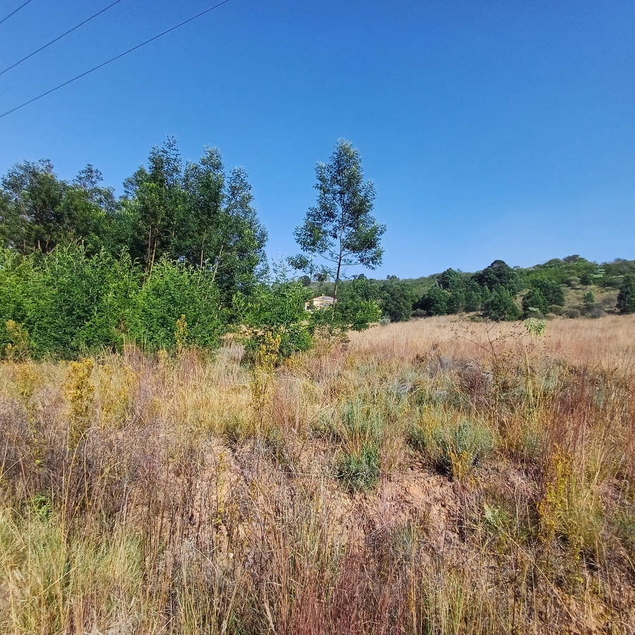 0 Bedroom Property for Sale in Blue Saddle Ranches Gauteng