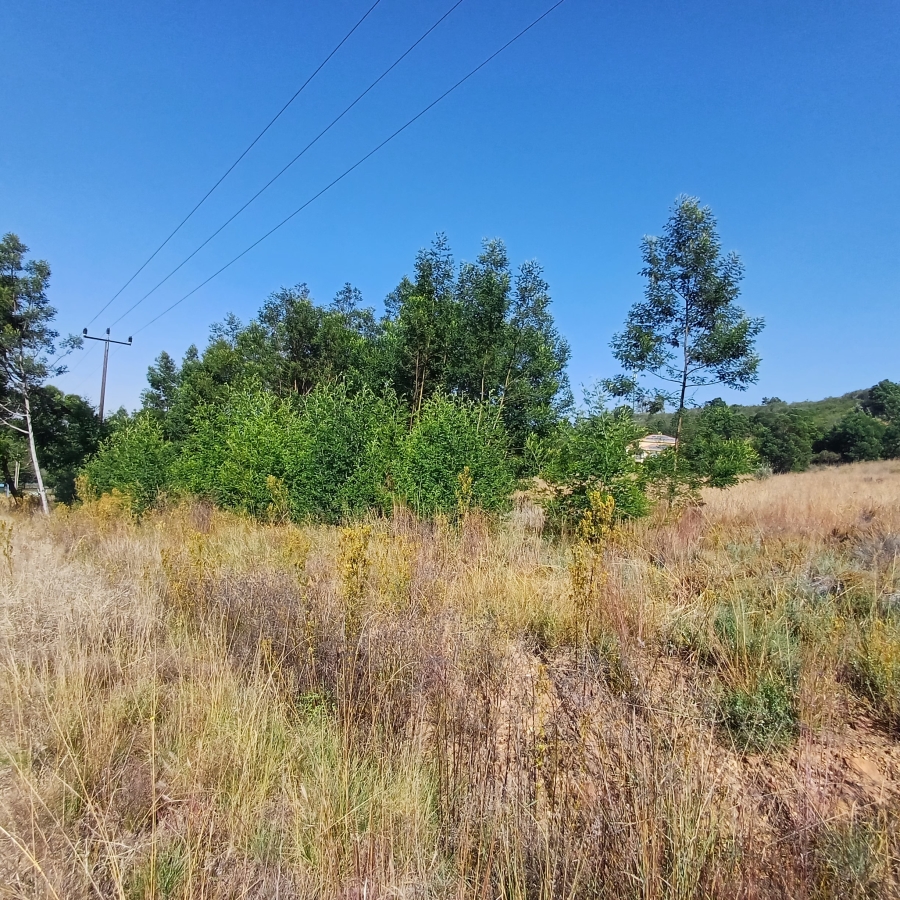 0 Bedroom Property for Sale in Blue Saddle Ranches Gauteng