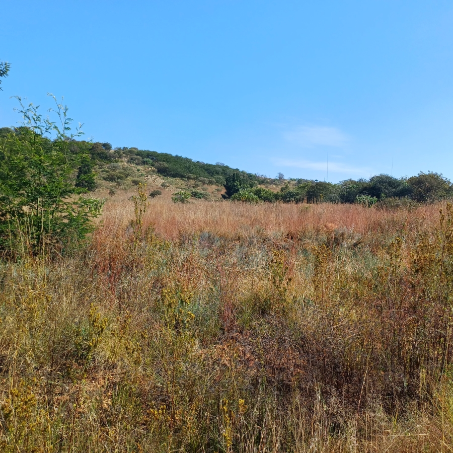 0 Bedroom Property for Sale in Blue Saddle Ranches Gauteng