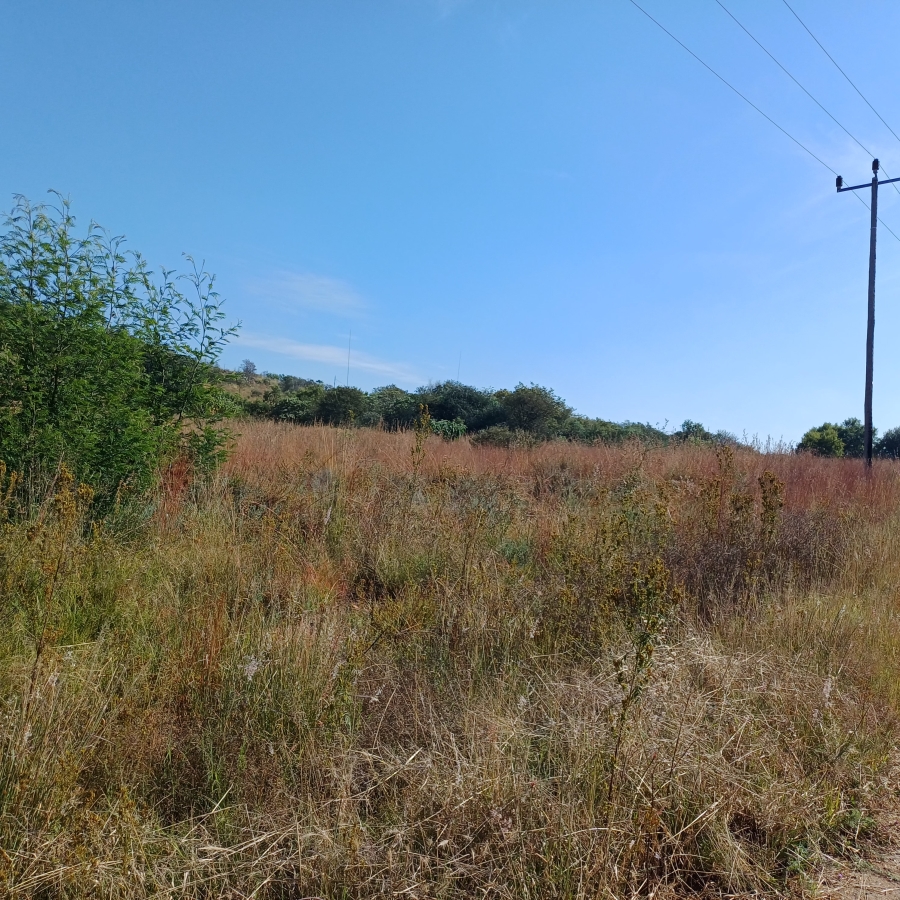 0 Bedroom Property for Sale in Blue Saddle Ranches Gauteng