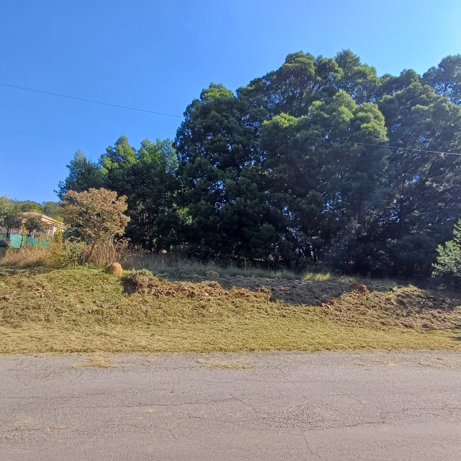 0 Bedroom Property for Sale in Blue Saddle Ranches Gauteng