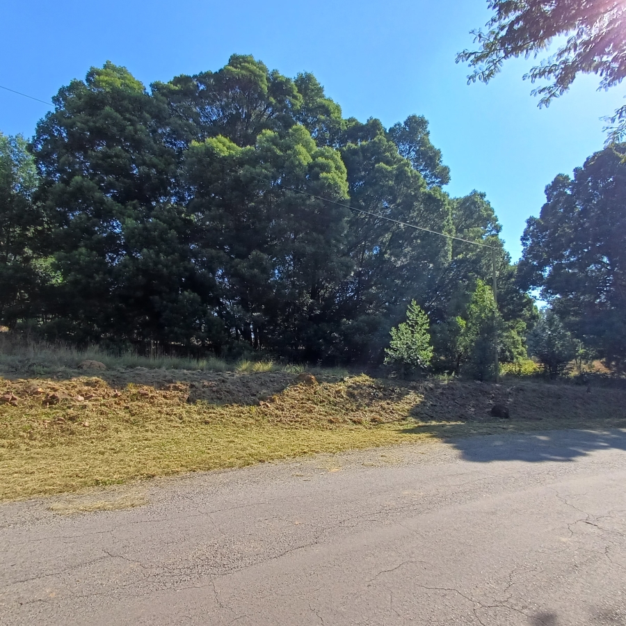 0 Bedroom Property for Sale in Blue Saddle Ranches Gauteng