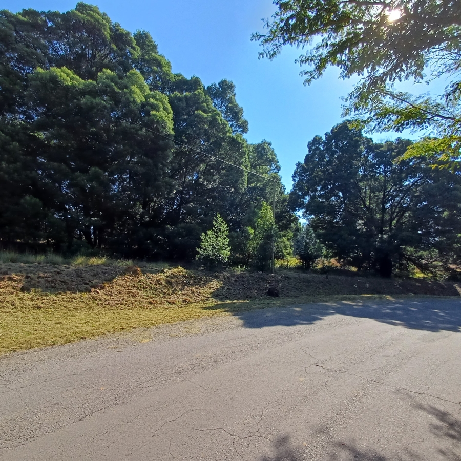 0 Bedroom Property for Sale in Blue Saddle Ranches Gauteng