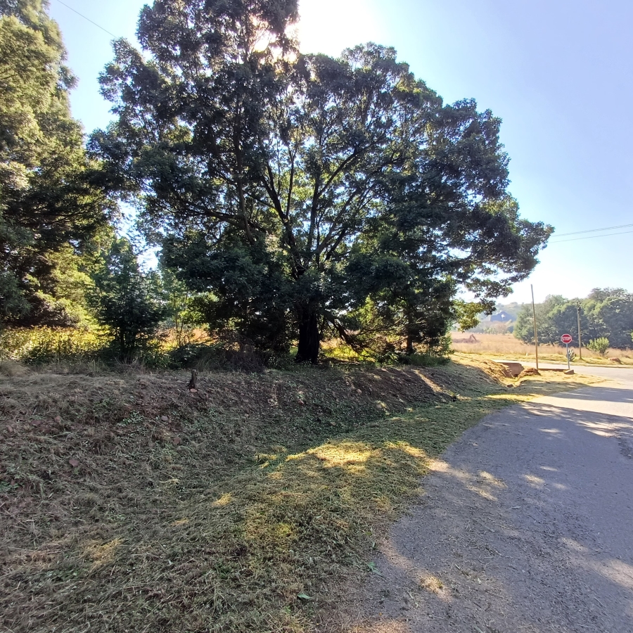 0 Bedroom Property for Sale in Blue Saddle Ranches Gauteng
