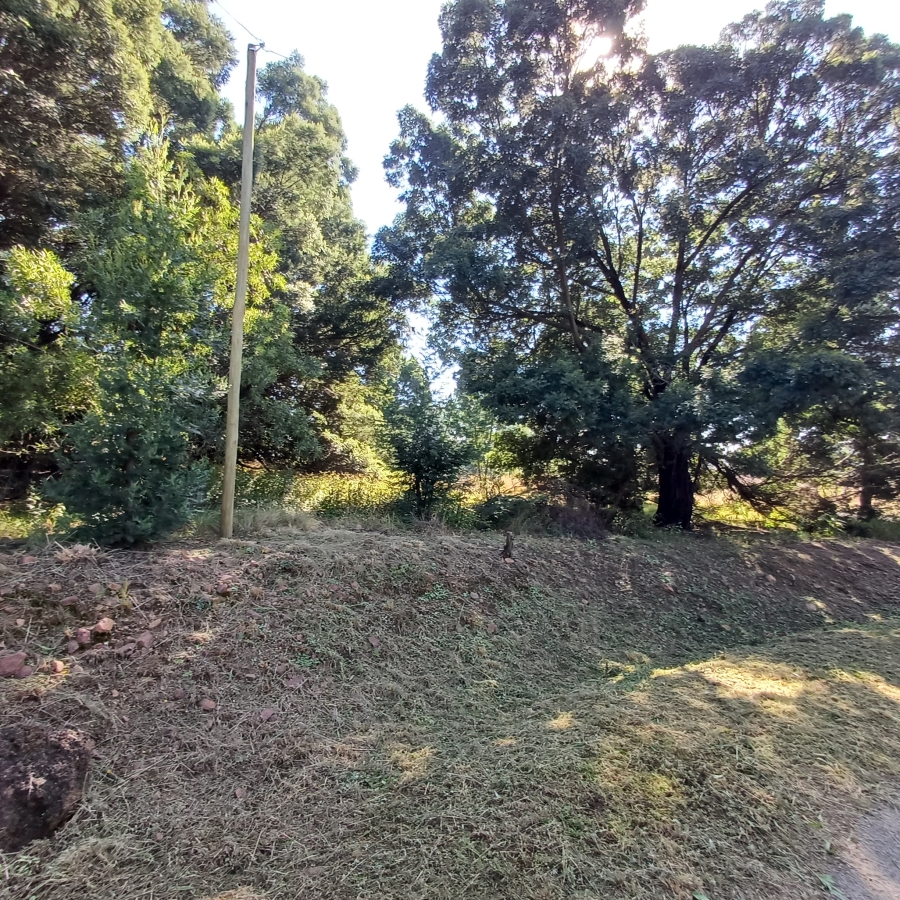 0 Bedroom Property for Sale in Blue Saddle Ranches Gauteng