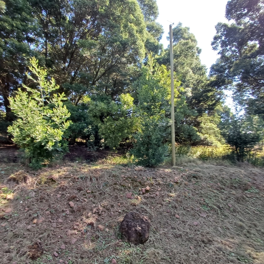 0 Bedroom Property for Sale in Blue Saddle Ranches Gauteng
