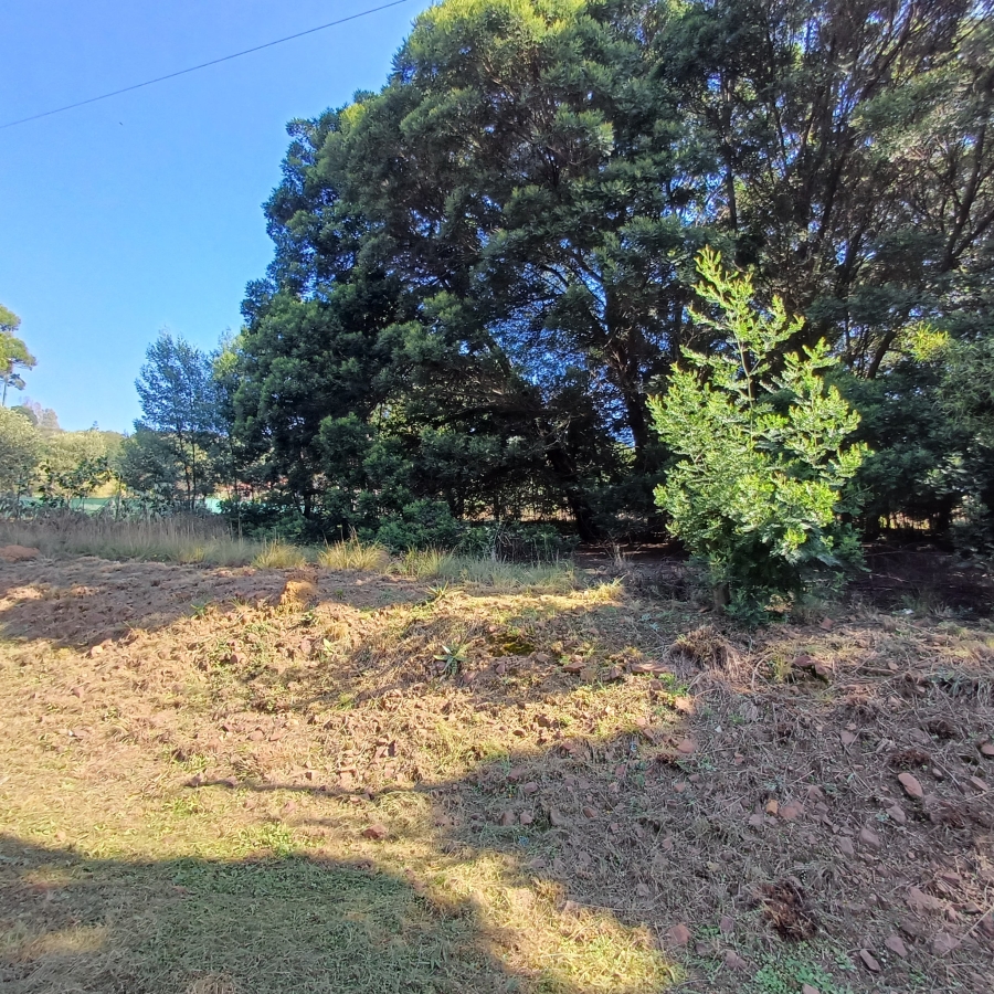0 Bedroom Property for Sale in Blue Saddle Ranches Gauteng