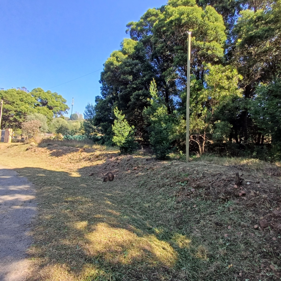 0 Bedroom Property for Sale in Blue Saddle Ranches Gauteng