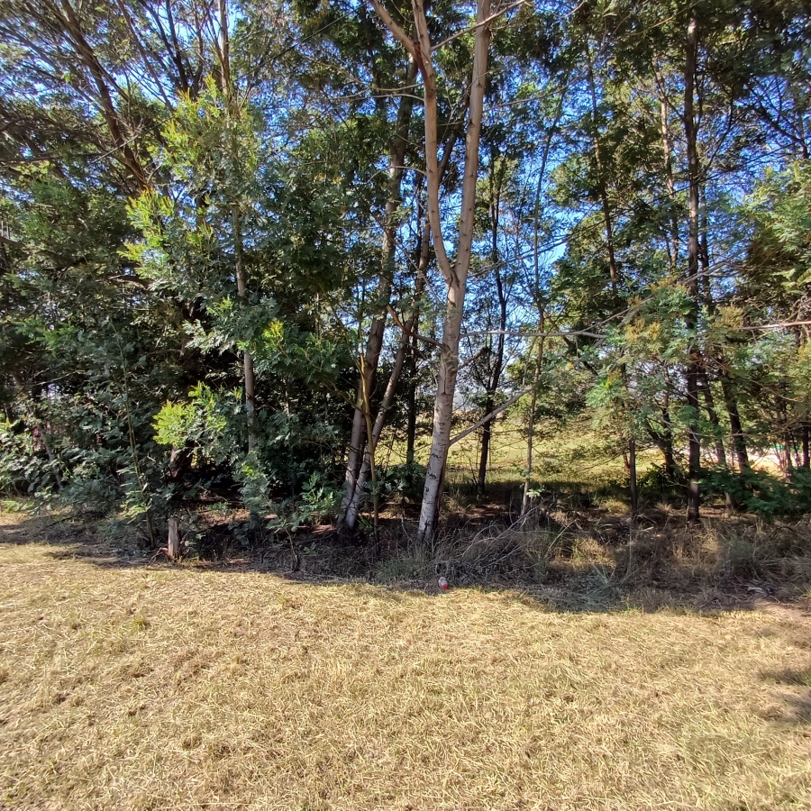 0 Bedroom Property for Sale in Blue Saddle Ranches Gauteng