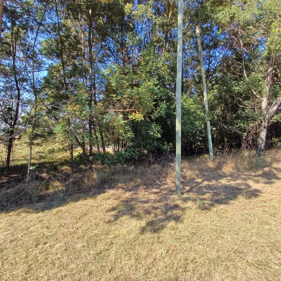 0 Bedroom Property for Sale in Blue Saddle Ranches Gauteng