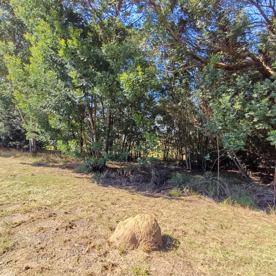 0 Bedroom Property for Sale in Blue Saddle Ranches Gauteng