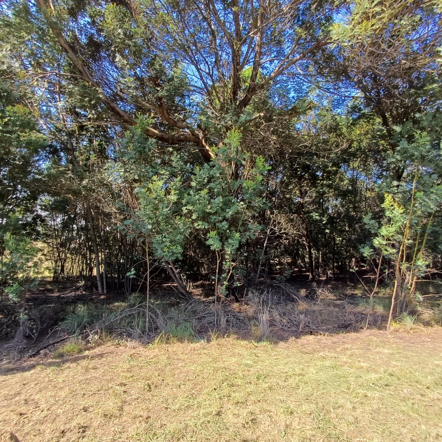 0 Bedroom Property for Sale in Blue Saddle Ranches Gauteng