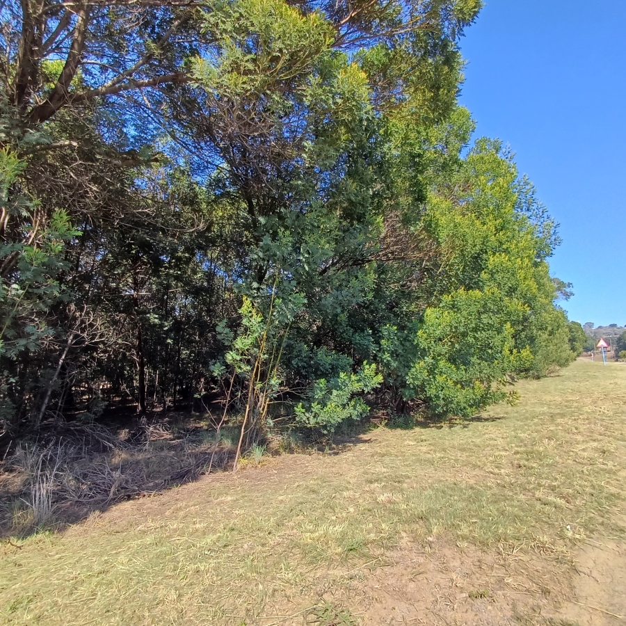 0 Bedroom Property for Sale in Blue Saddle Ranches Gauteng