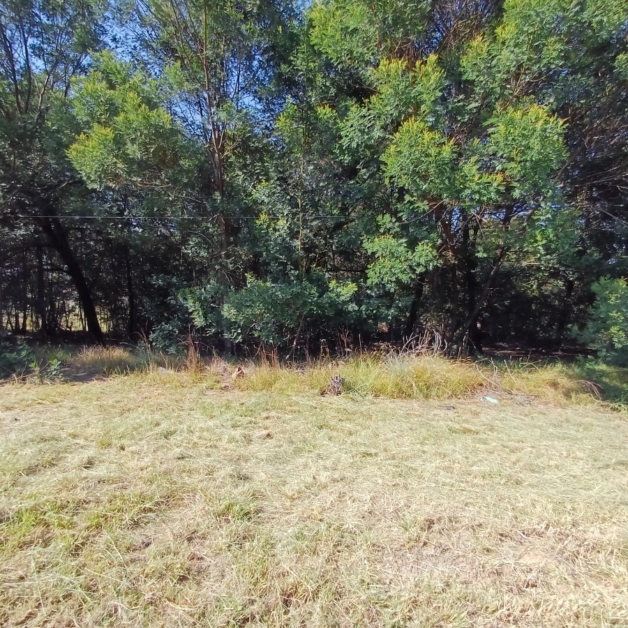 0 Bedroom Property for Sale in Blue Saddle Ranches Gauteng