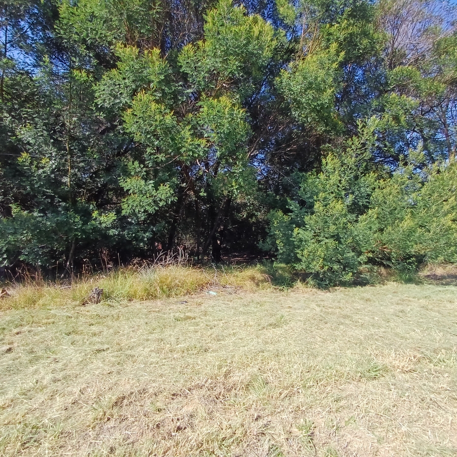 0 Bedroom Property for Sale in Blue Saddle Ranches Gauteng