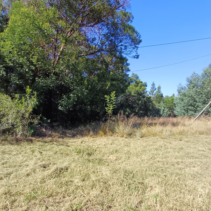 0 Bedroom Property for Sale in Blue Saddle Ranches Gauteng