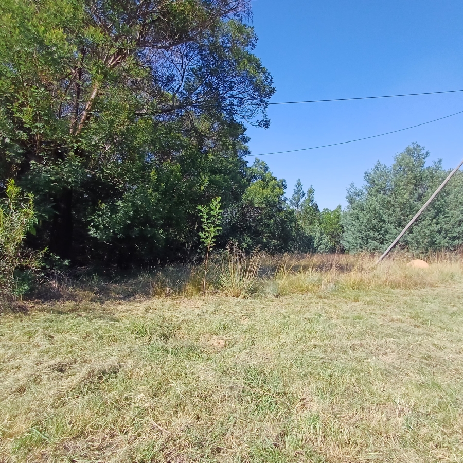 0 Bedroom Property for Sale in Blue Saddle Ranches Gauteng