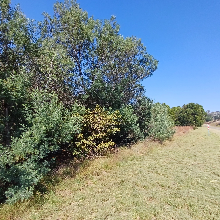 0 Bedroom Property for Sale in Blue Saddle Ranches Gauteng