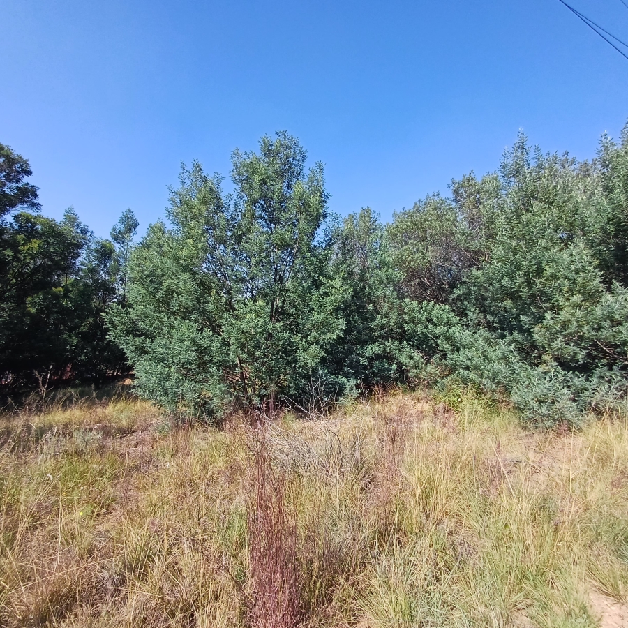 0 Bedroom Property for Sale in Blue Saddle Ranches Gauteng