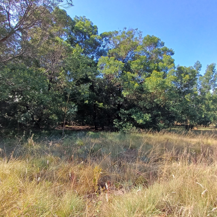 0 Bedroom Property for Sale in Blue Saddle Ranches Gauteng