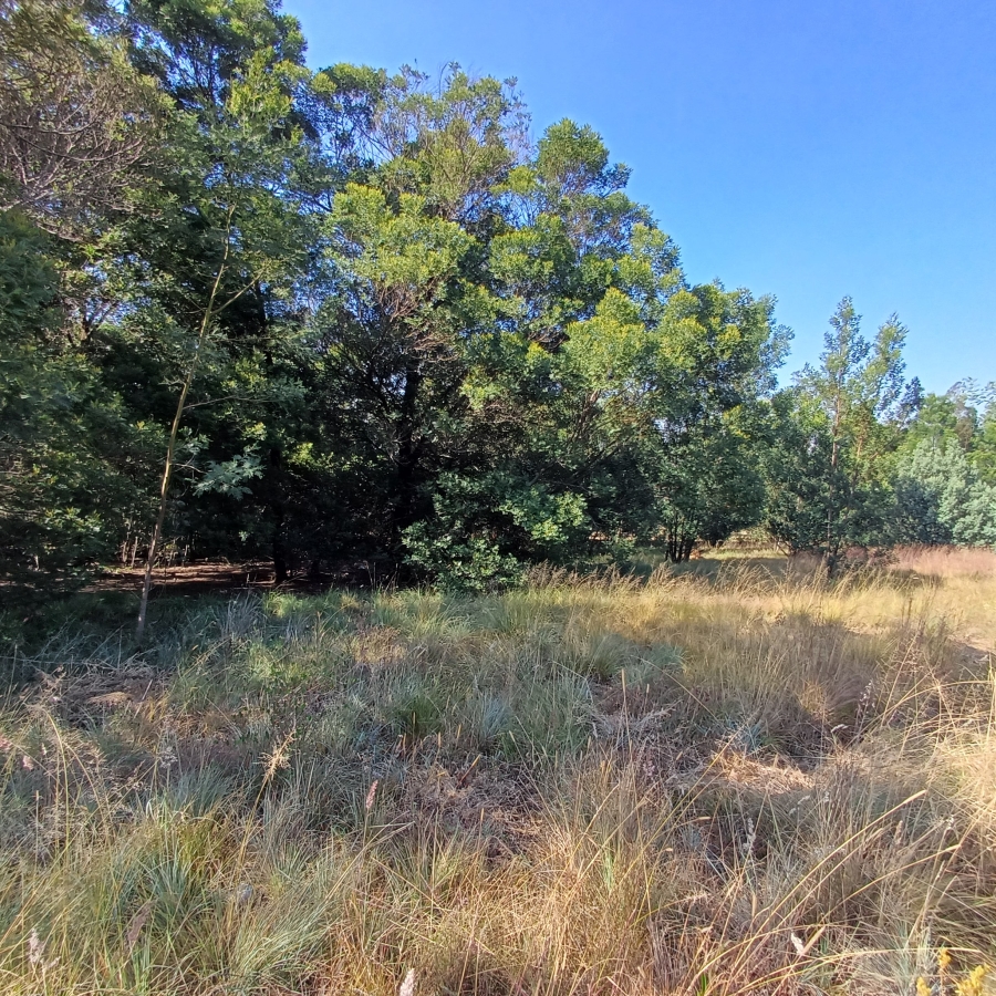0 Bedroom Property for Sale in Blue Saddle Ranches Gauteng