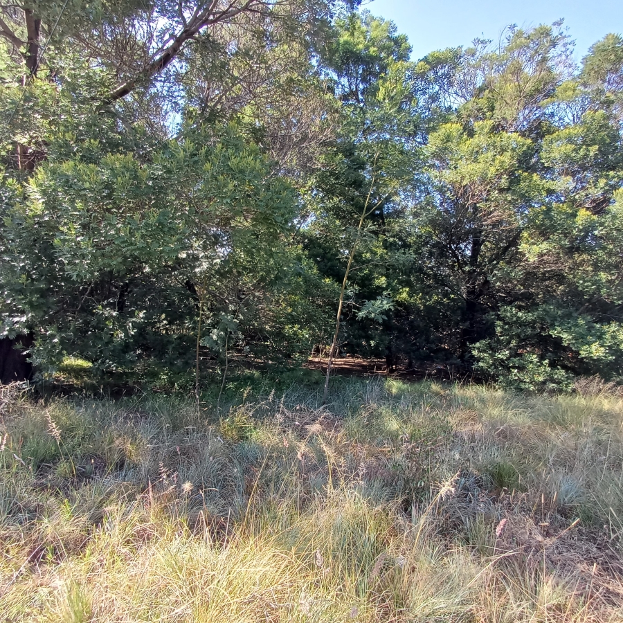 0 Bedroom Property for Sale in Blue Saddle Ranches Gauteng