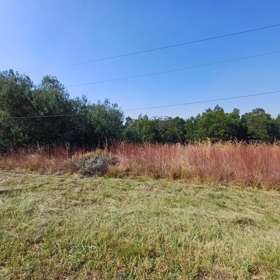 0 Bedroom Property for Sale in Blue Saddle Ranches Gauteng