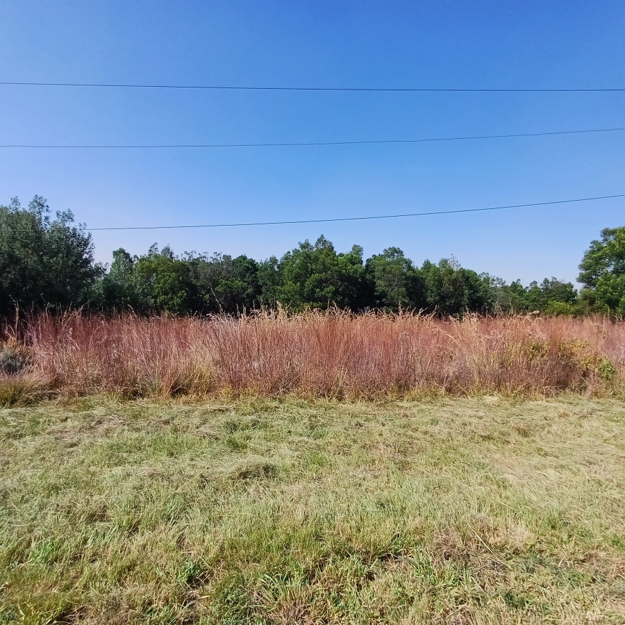 0 Bedroom Property for Sale in Blue Saddle Ranches Gauteng