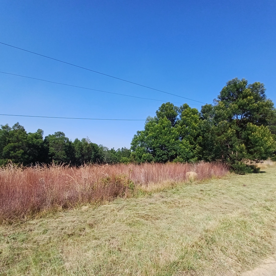 0 Bedroom Property for Sale in Blue Saddle Ranches Gauteng