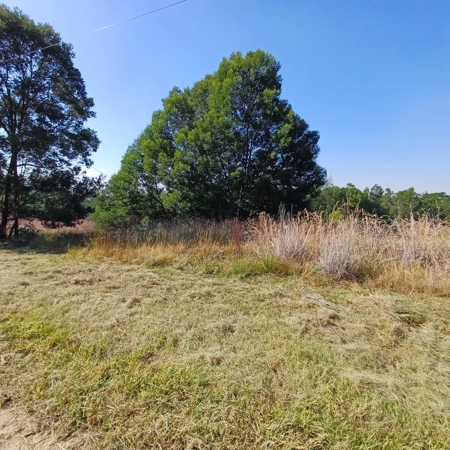 0 Bedroom Property for Sale in Blue Saddle Ranches Gauteng