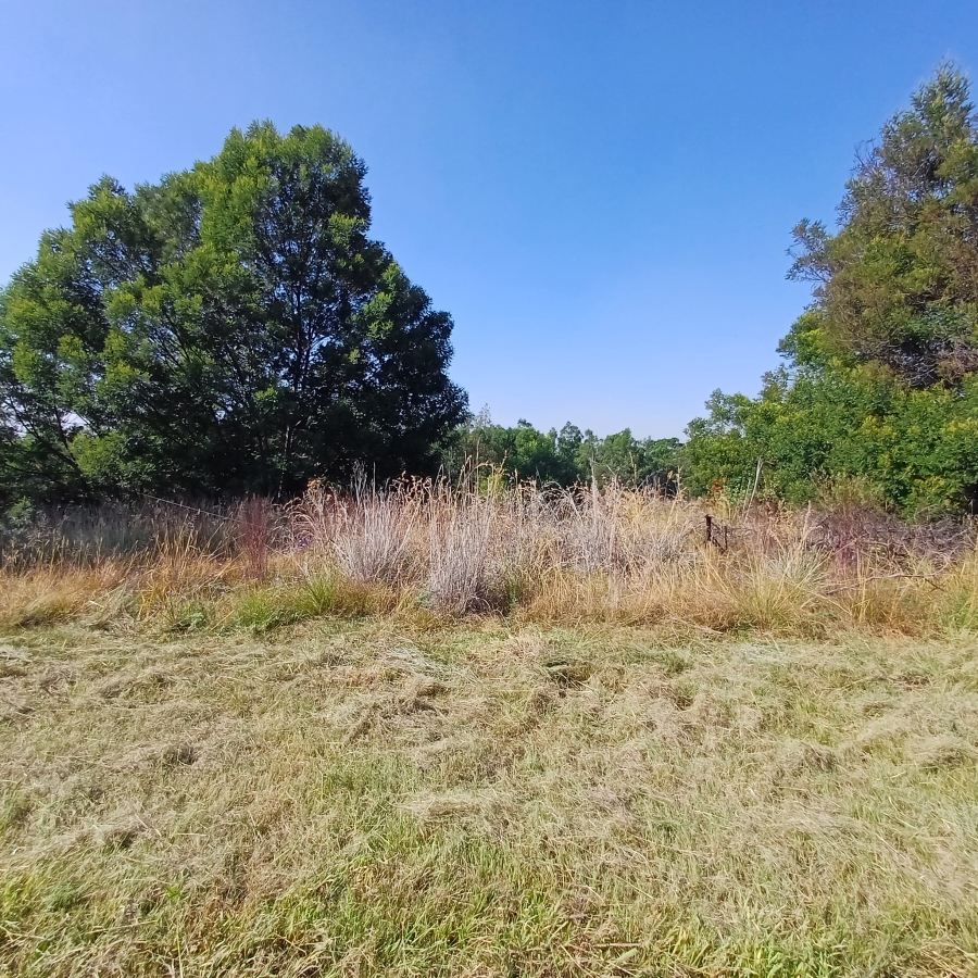 0 Bedroom Property for Sale in Blue Saddle Ranches Gauteng