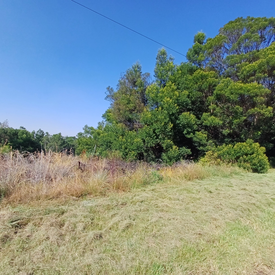0 Bedroom Property for Sale in Blue Saddle Ranches Gauteng