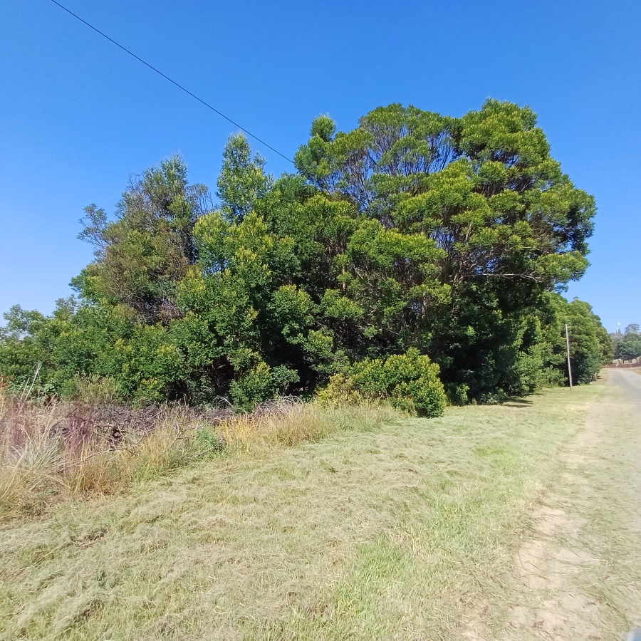 0 Bedroom Property for Sale in Blue Saddle Ranches Gauteng
