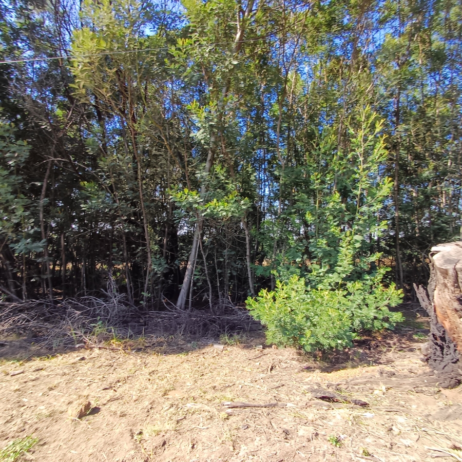 0 Bedroom Property for Sale in Blue Saddle Ranches Gauteng