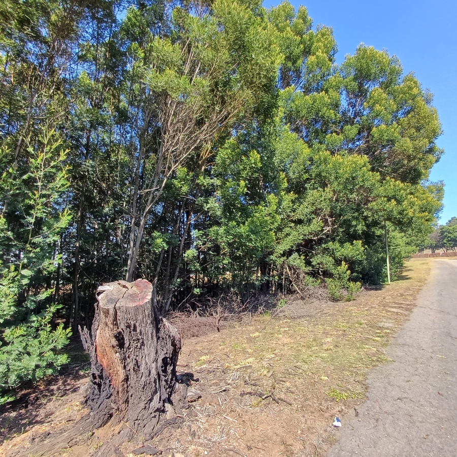 0 Bedroom Property for Sale in Blue Saddle Ranches Gauteng