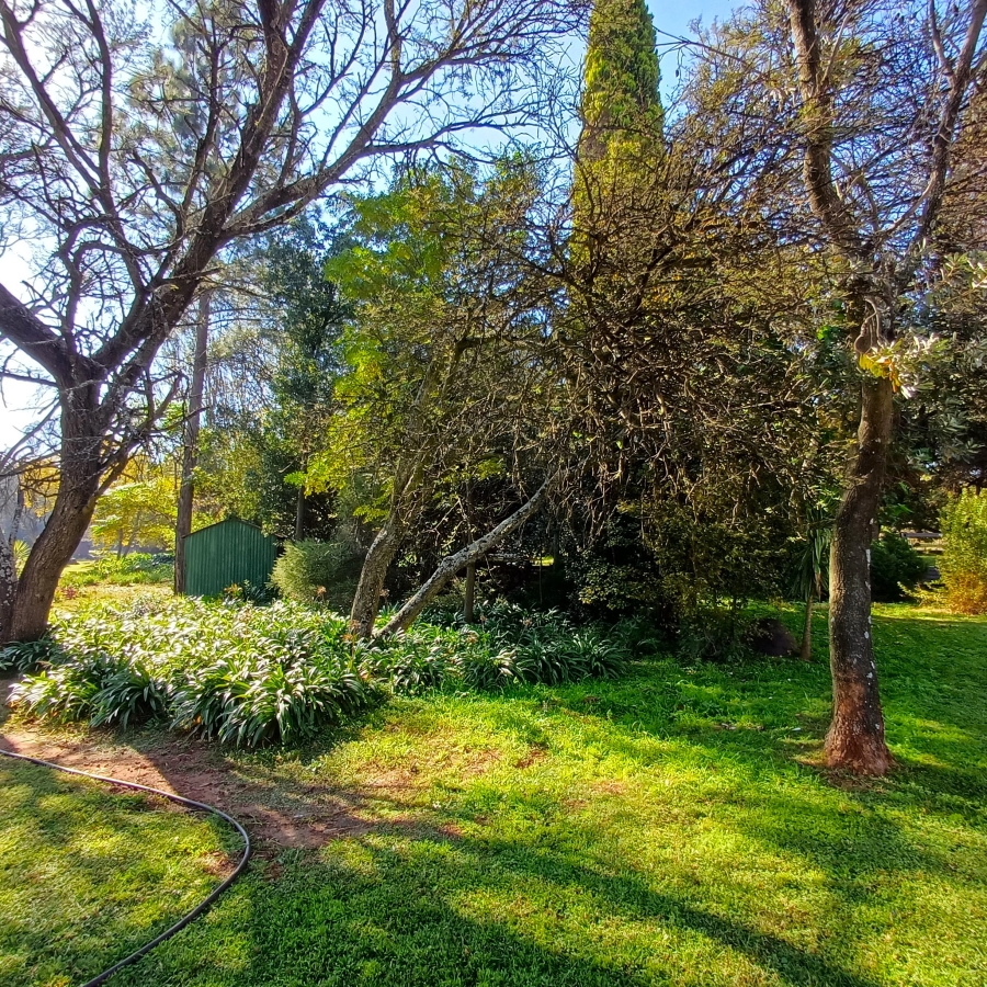 5 Bedroom Property for Sale in Blue Saddle Ranches Gauteng