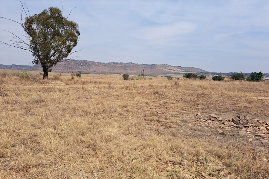 0 Bedroom Property for Sale in Letamo Game Farm Gauteng