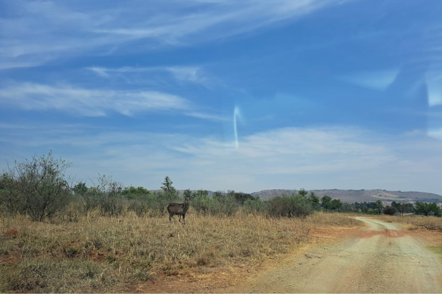0 Bedroom Property for Sale in Letamo Game Farm Gauteng